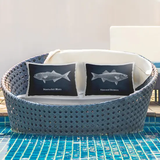 Stupell Industries Coastal Fish on Navy Blue 2pc Outdoor Printed Pillow Set design by Phillipa Katz, 14 x 7 x 20 {3}
