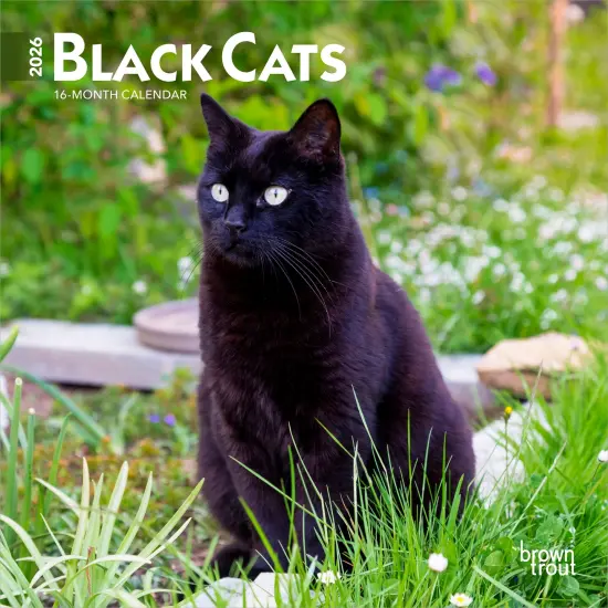 Black Cats | 2026 7 x 14 Inch (Hanging) Monthly Mini Wall Calendar {1}