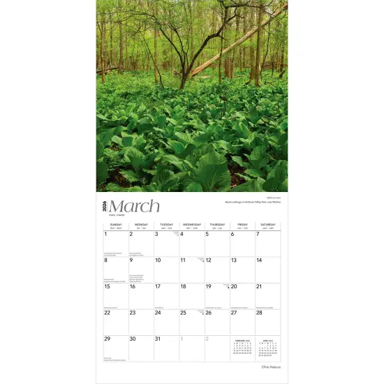 Ohio Nature | 2026 12 x 24 Inch (Hanging) Monthly Square Wall Calendar | Plastic-Free {3}