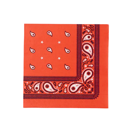 THOMAS & FRIENDS&trade; LARGE RED BANDANA NAPKINS {1}