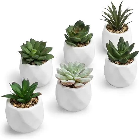 Mini Assorted Green Faux Succulent, Indoor Fake Plants in Geometric Ceramic Pots, Set of 6 {1}