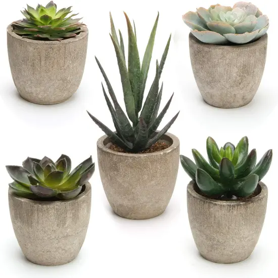 Artificial Succulent Plants Potted, Assorted Decorative Faux Succulent Potted Fake Cactus Cacti Plants with Pots, Set of 5 {1}