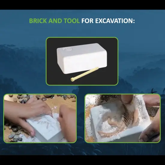 Dino Explorers: AR Dinosaur XL & Brick Combo - Tyrannosaurus-Rex - 10" Articulated Sound Toy Figure & Paleontology Kit, T-Rex Augmented Reality, Kids {6}