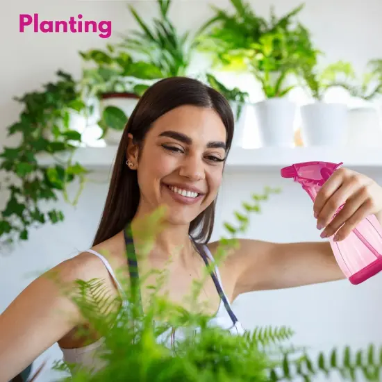 3 Pack Plastic Spray Bottles 12oz - (Purple, Blue, Pink) {3}