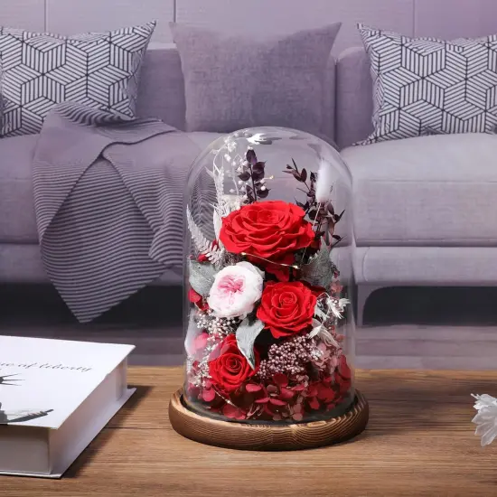 Prime Preserved Flowers Rose in Glass Dome {2}