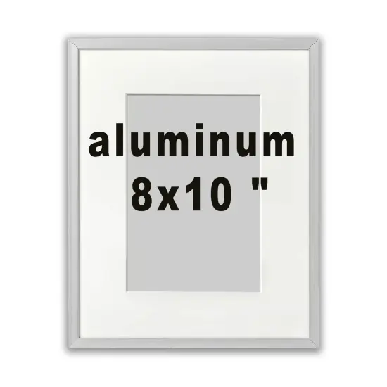 8x10" Aluminum Frame with Acid-Free Mat & Plastic Front &ndash; For Hanging or Standing, ALFTA Hook Compatible {1}
