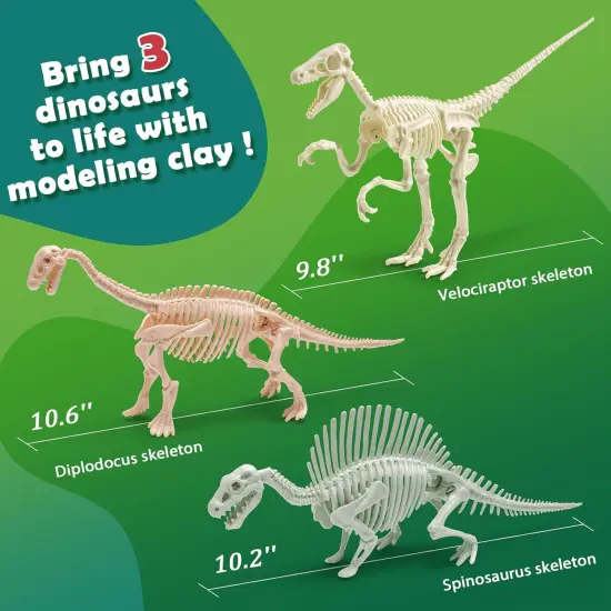 Air Dry Clay Dinosaur Craft Kit for Kids, Build and Design Your Own Dinosaurs with Modeling Clay, 3 Dinosaur Fossil Skeletons, Gifts for Boys and Girls Ages 6 & Up {4}
