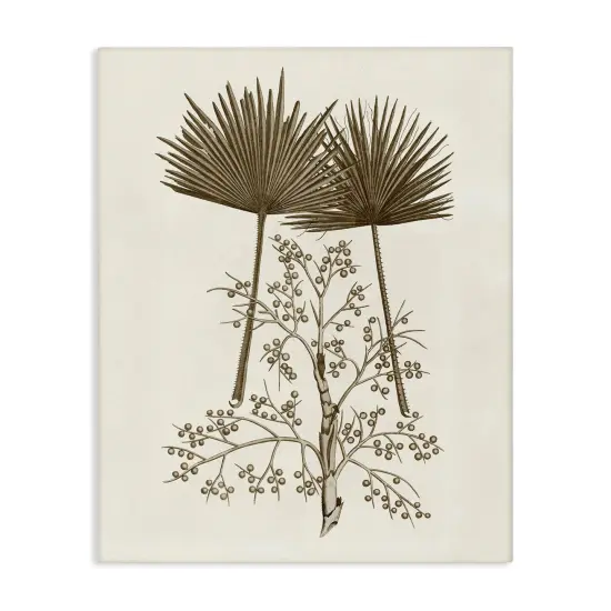 Stupell Industries Palm Leaf & Olive Branches Canvas Design by Phillipa Katz {1}