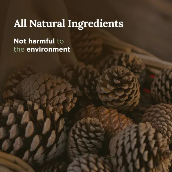 Magnificent 101 Long Lasting Sage + Cedarwood Scented Candle | 6 Oz - 35 Hour Burn | Made of Soy Wax for House Energy Cleansing, Stress Relief and Banishes Negative Energy Multicolor {3}