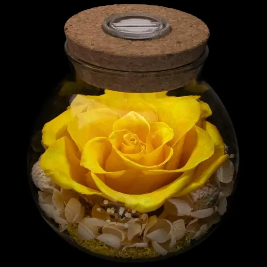 Preserved Real Roses with Colorful Mood Light Wishing Bottle, Eternal Rose， Never Withered Flowers, a Gifts for Women 4.3inch 1pcs (Yellow) {1}