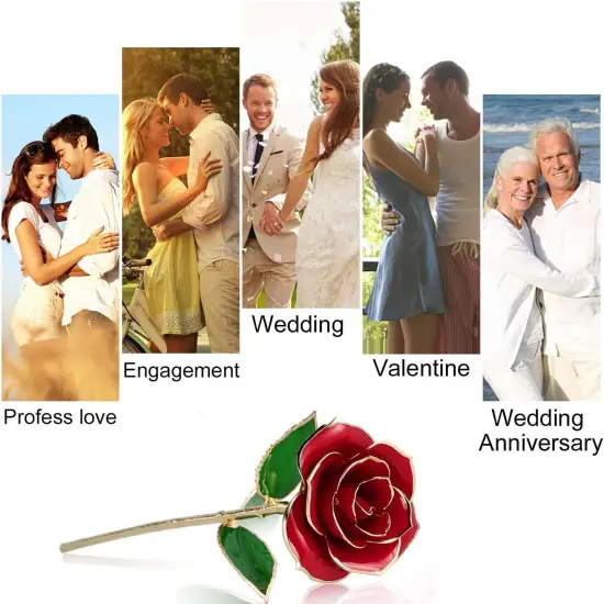 Gold Dipped Rose,24K Gold Rose with Transparent Stand,Real Long Stem Eternity Rose Flower Best for Her,Mom,Wife,Girlfriend,Anniversary,Mothers Day,Birthday,Valentine's,Wedding {3}