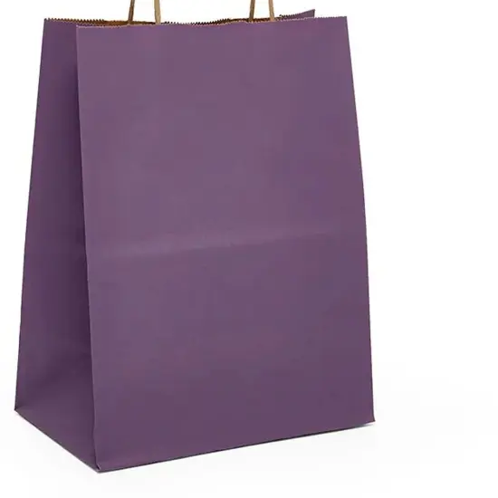 Kraft Shopping Bag 8" x 5" x 10.25" {6}