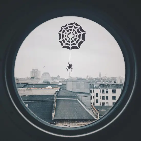 Spiderweb Stencil(Painting) {5}