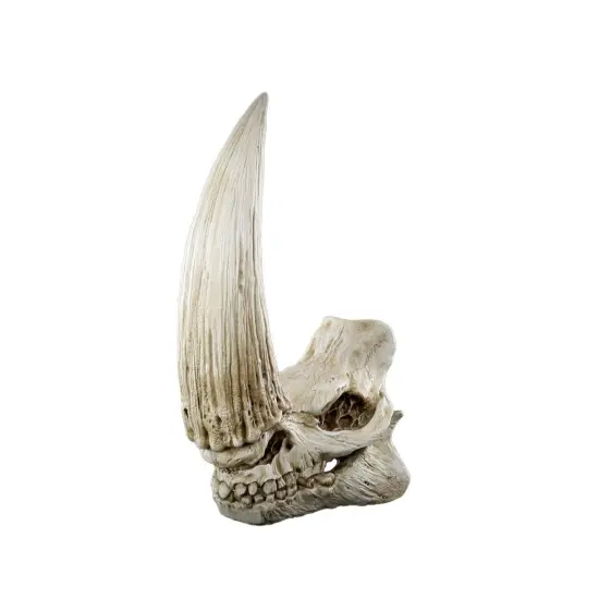 Star Wars Mudhorn Skull -The Mandalorian&trade; - Wall Decor Regal Robot {1}