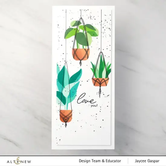 Dynamic Duo: Hanging Houseplants {6}