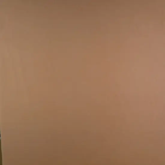 1 Yard DTY Brushed Solid Fabric Soft Stretch Smooth Texture 58/60" Wide Taupe {1}