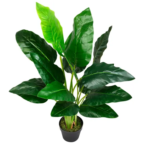 Northlight Potted Artificial Bird of Paradise Plant - 43" Green {5}