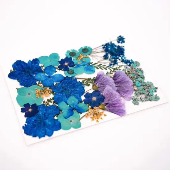 30Pcs Dried Pressed Flowers for Resin DIY {4}