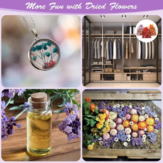 50 Bags Dried Flowers {3}