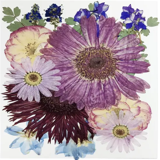 15Pcs Dried Pressed Flowers - Purple | 8 Types {1}