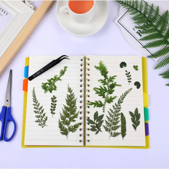 42 Pieces Dried Pressed Leaves for Resin {3}