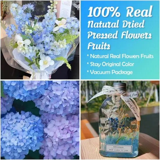 130Pcs Colorful Harmony Dried Pressed Flowers {2}