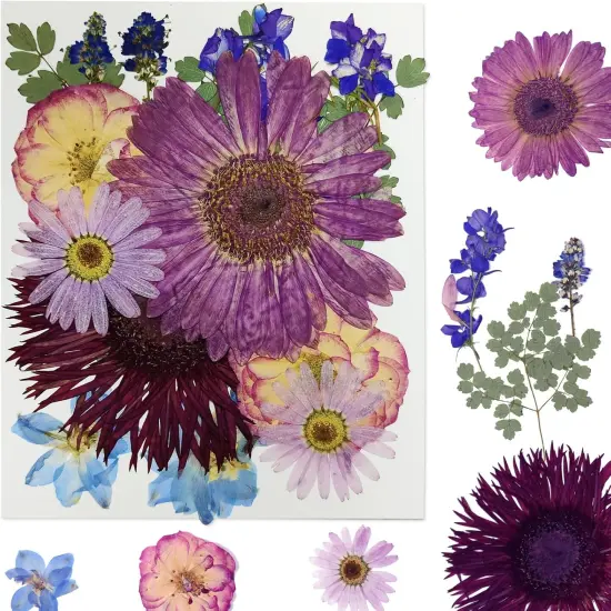 15Pcs Dried Pressed Flowers - Purple | 8 Types {3}