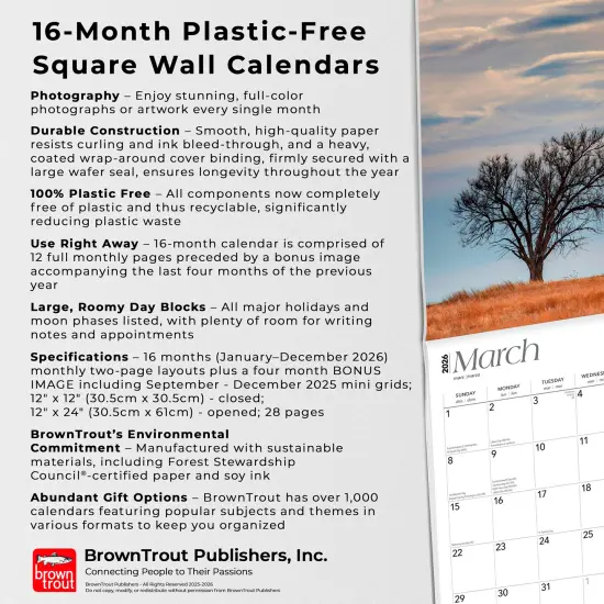 Colorado Wild & Scenic | 2026 12 x 24 Inch (Hanging) Monthly Square Wall Calendar | Plastic-Free {6}