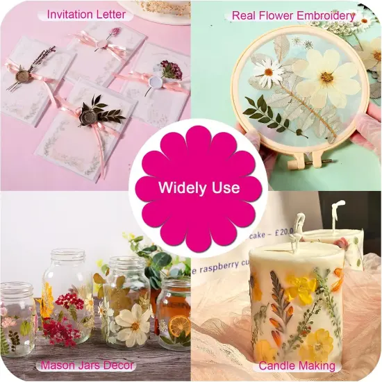 A5 Large Bulk Fall Dried Pressed Leaves {3}