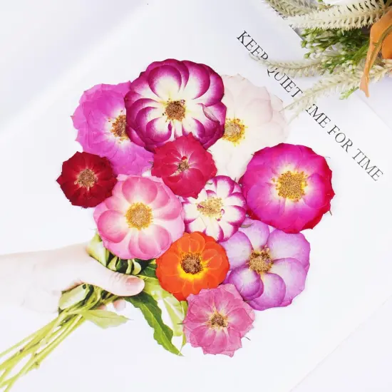 22Pcs Rose Dried Pressed Flowers for Crafts {5}