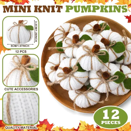 12 Pcs Fall Mini Knit Pumpkins for Centerpieces {2}
