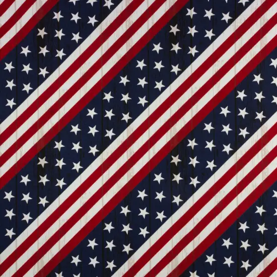 Richloom Solarium AMERICANA STRIPE- Outdoor/Indoor Fabric {1}