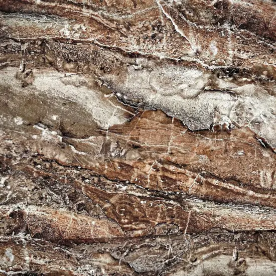 Brown Latte Surfaces Cotton Wideback Fabric per yard {1}