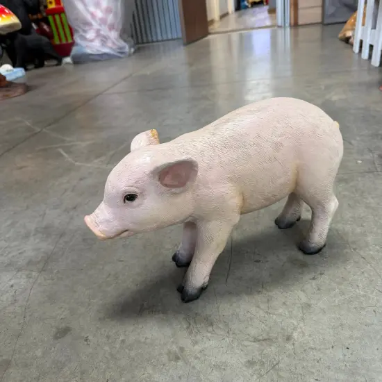New Born Pig Life Size Statue {6}