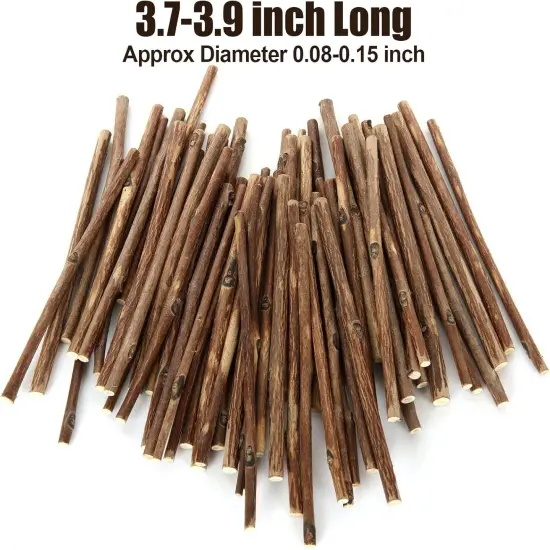 300PCS 4 inch Wood Log Sticks for Crafts - Natural Twigs Sticks- Birch Wood Craft Sticks for DIY Rustic Home Decor School Projects Crafting Filler, 0.08-0.15 Inch in Diameter {2}