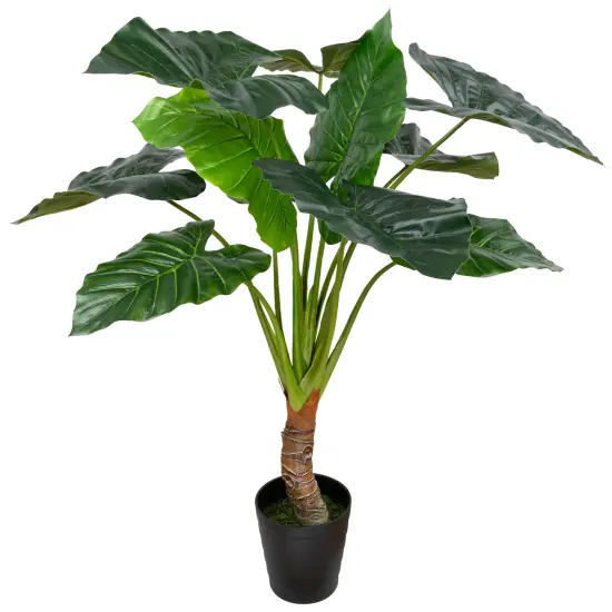Northlight Potted Green Wide Leaf Taro Artificial Floor Plant - 51" {3}