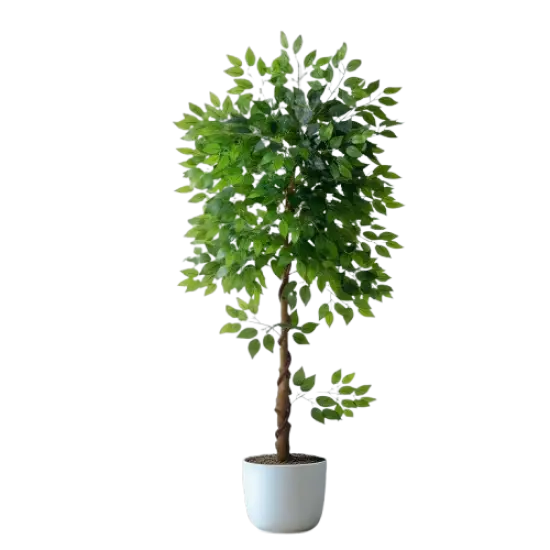 6ft Artificial Ficus Tree for Home Decor, Faux Silk Plants Faux Plant Fake Silk Trees with Pot for Indoor House Living Room Office Garden {1}