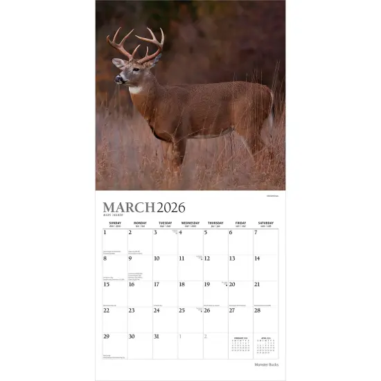 Monster Bucks | 2026 12 x 24 Inch (Hanging) Monthly Square Wall Calendar | Foil Stamped Cover {3}