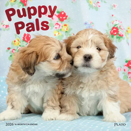 Puppy Pals | 2026 12 x 24 Inch (Hanging) Monthly Square Wall Calendar | Foil Stamped Cover {1}