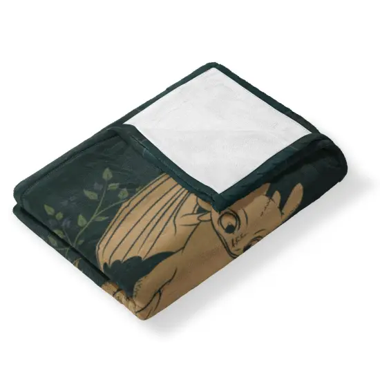 Universal How to Train Your Dragon Silk Touch Throw Blanket Hiccup and Toothless {4}