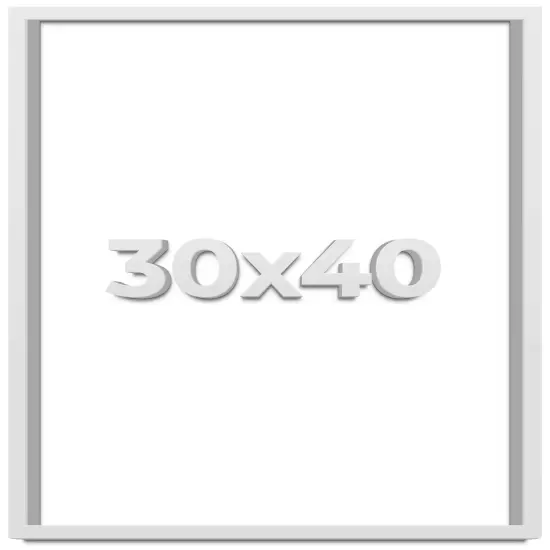 Minimalist Shadow Box White Picture Frame - UV Acrylic, Backing, Hanging Hardware {1}