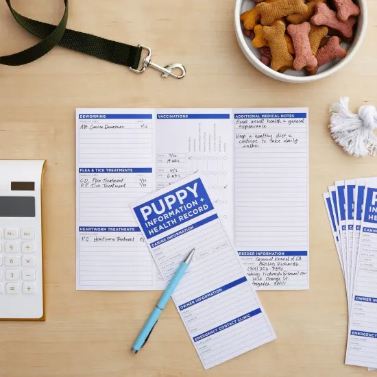 60 Pack Puppy Vaccination Record Cards, Canine Health Record Books for Dogs (Tri-Fold Design, 8.5x11 Inch) {2}