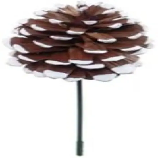 4PC 2.5" White-Tipped Pine Cone Pick Rustic Winter Accent for Wreaths, Crafts & Holiday Decor {1}