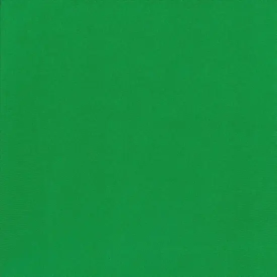Rayon Span Jersey Solid Fabric 1 Yard Green Soft Stretch Lightweight 58/60" Wide {1}