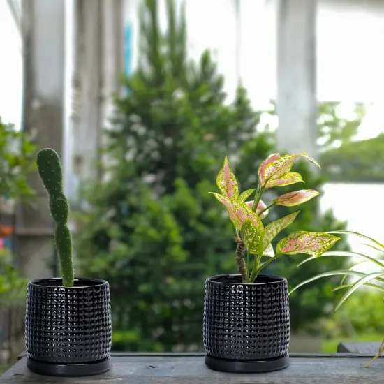Set of 2 Ceramic 4 Inch Ceramic Beaded Stoneware Pots (Glossy Black) {3}