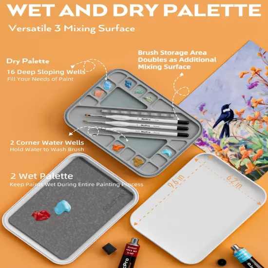 Miniature Painting Kit with Wet Palette & 11PCS Detail Paint Brushes Drybrush(White) {3}