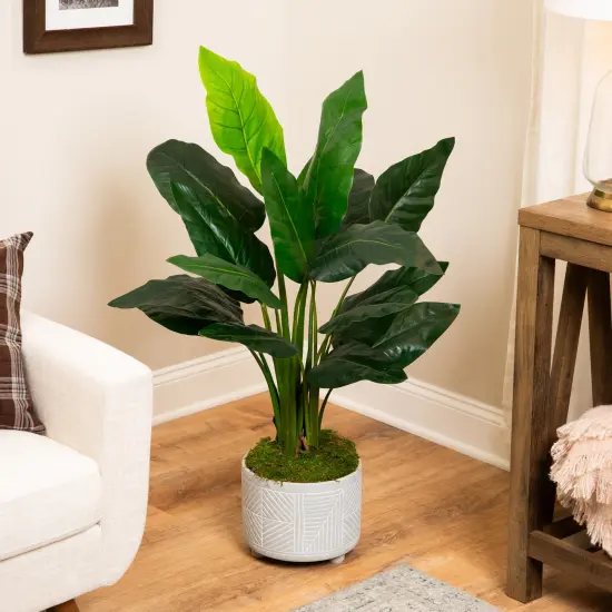 Northlight Potted Artificial Bird of Paradise Plant - 43" Green {1}