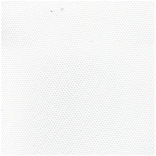 1 Yard Nylon Mesh Fabric Printed Design Lightweight Soft Breathable 58/60" Width IVORY {1}