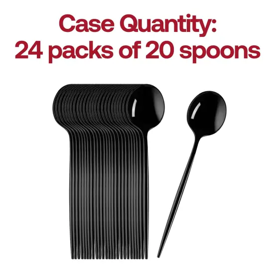 Solid Black Moderno Disposable Plastic Dessert Spoons (480 Spoons) {5}