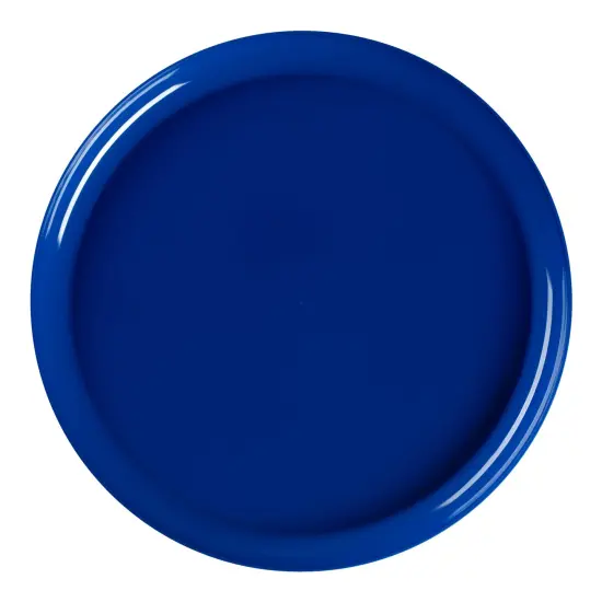 Solid Blue Flat Round Disposable Plastic Dinner Plates - 10" (120 Plates) {2}
